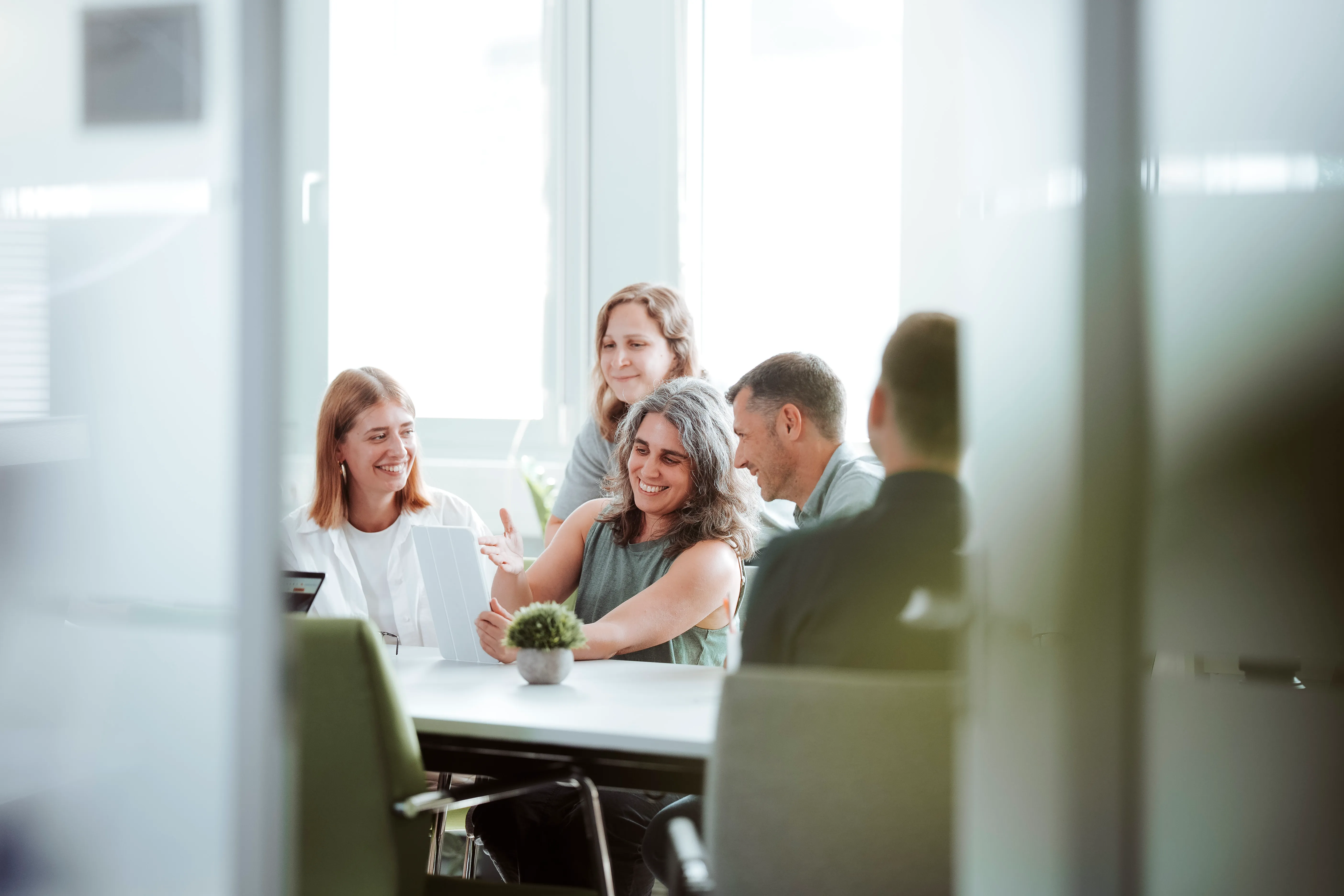 Evolit team collaboration